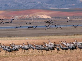 Medio Ambiente recuerda que la declaración de los espacios de la Red Natura es competencia exclusiva de las CC.AA