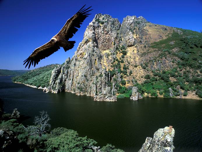 Alianza ‘histórica’ de ecologistas en Extremadura