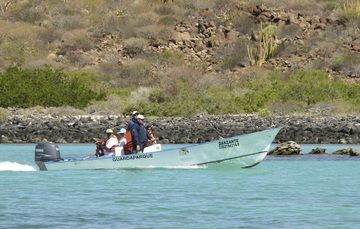 México: En el Día Internacional del Guardabosque se festeja al profesional en proteger la naturaleza