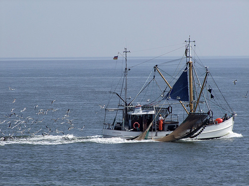 El MARM analiza con el sector pesquero la reforma de la PPC y el proyecto de ley de pesca sostenible