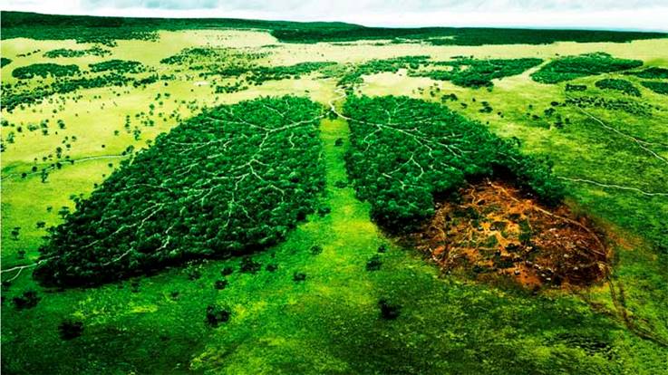 Este es el postgrado en sensibilización ambiental que te recomendamos