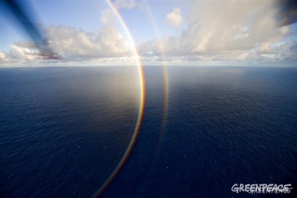 Los ‘piratas’ salen a pescar