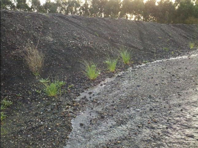Ecologistas piden a Medio Ambiente y Fiscalía el traslado de las 60.000 toneladas de áridos de Manmer