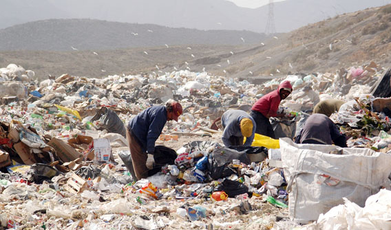 La Semarnat logra frenar avance del cambio climático