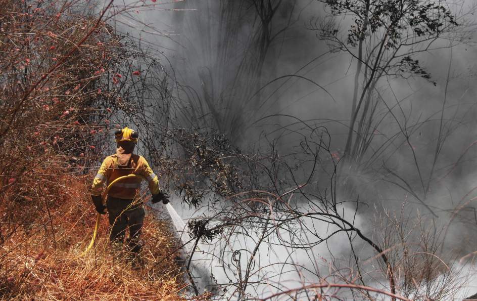 Extinguido el incendio forestal en el Paraje Los Carrascales