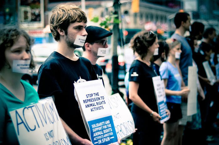 Animalistas ganan el caso a la industria peletera (Ver VIDEO)