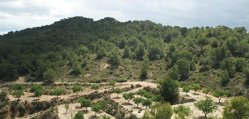 Polémica por el nuevo Plan Parcial en sierra Escalona