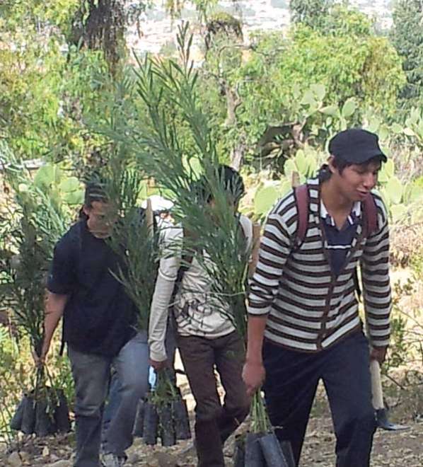 En el Día del Árbol piden plan de manejo para evitar los incendios