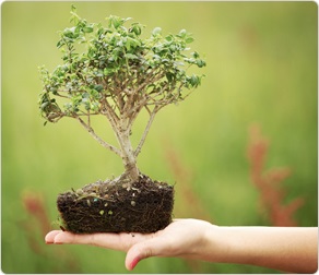 No hay ningún otro Máster Universitario Oficial en Gestión Ambiental como este