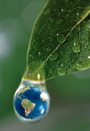 Mejora tu currículo: Curso Online. Técnico en Evaluación de Impacto Ambiental