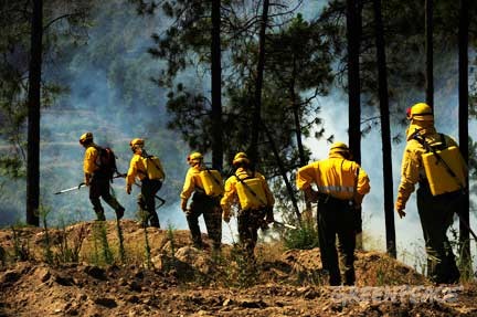 Greenpeace pide a la fiscalía que investigue las causas del incendio de las Fragas do Eume y que depure responsabilidades