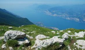 Minambiente ofrece incentivos tributarios a quienes inviertan en el medio ambiente