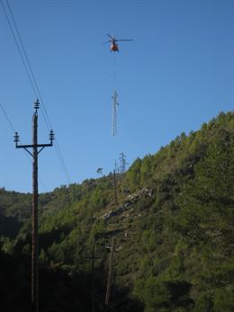Reforman una línea de Viladecans para proteger a la avifauna