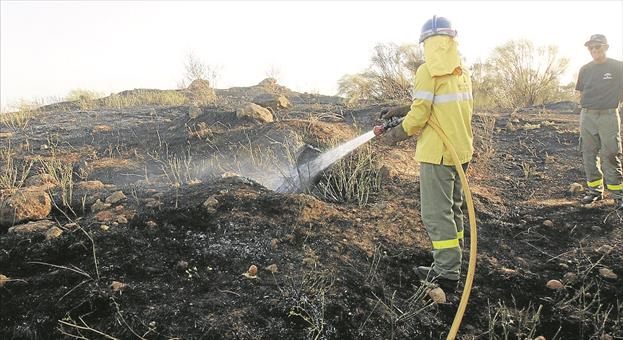 Controlado un incendio forestal en la zona del Puente de Hierro en Córdoba