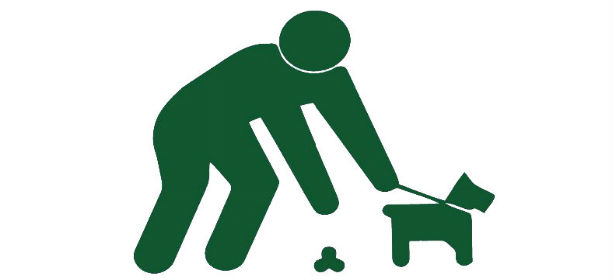 Valencia sancionará a los dueños de perros que no recojan las heces