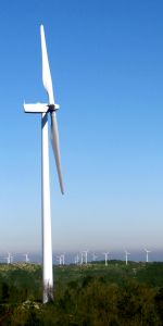 ADEGA critica el "sometimiento" de la Xunta a los "intereses del negocio eólico"