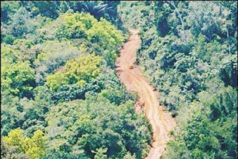 La deforestación de la Amazonía brasileña casi se quintuplicó en mayo