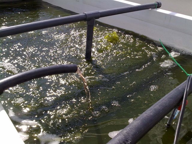 El Congreso apoya reabrir plantas de purines y ampliar las ayudas a 25 años