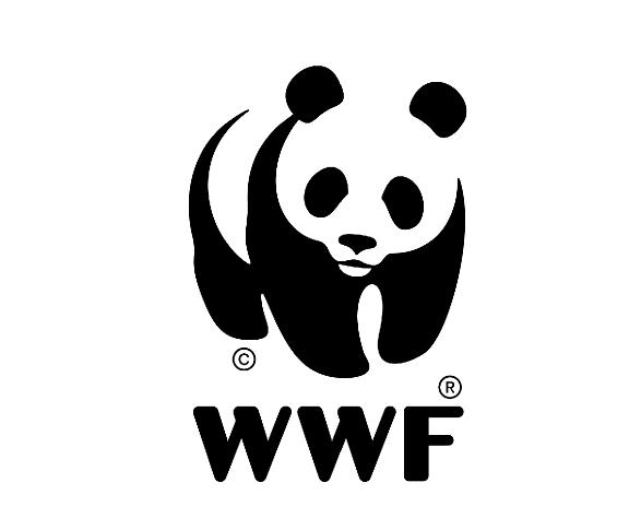 WWF pide un compromiso contra el cambio climático a los ayuntamientos que se unieron a La Hora del Planeta