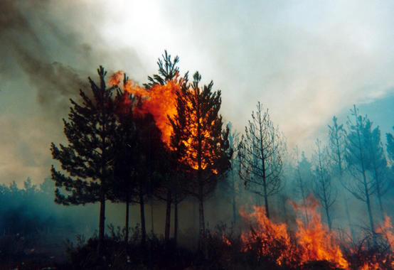 La información sobre medio ambiente en televisión ‘deja mucho que desear’