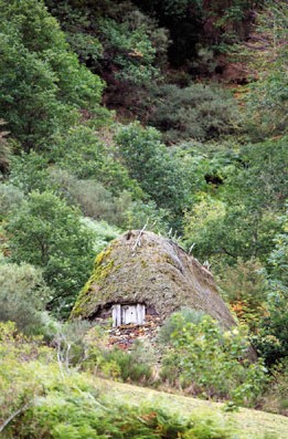 El contrato territorial y el contrato territorial de zona rural: dos instrumentos para promover una gestión sostenible el medio rural