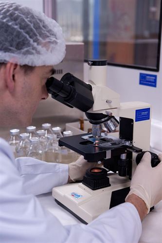 La ‘extrema’ dificultad de garantizar la prohibición de cosméticos probados en animales