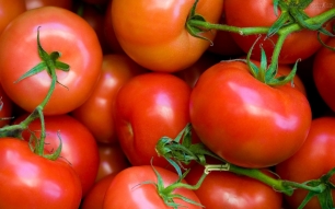 Utilizan la piel del tomate para crear plásticos biodegradables