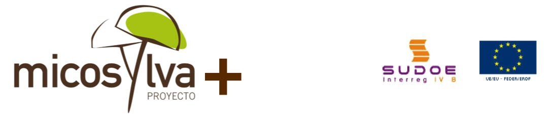 Científicos de siete países analizarán en Soria esta semana los efectos del cambio climático en las setas y hongos