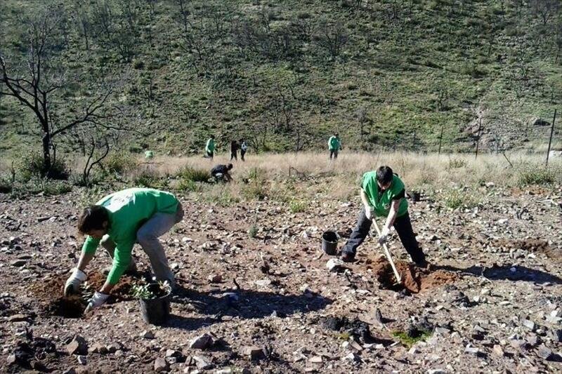 Carencias ‘notables’ en los trabajos forestales de Cabañeros y Tablas de Daimiel