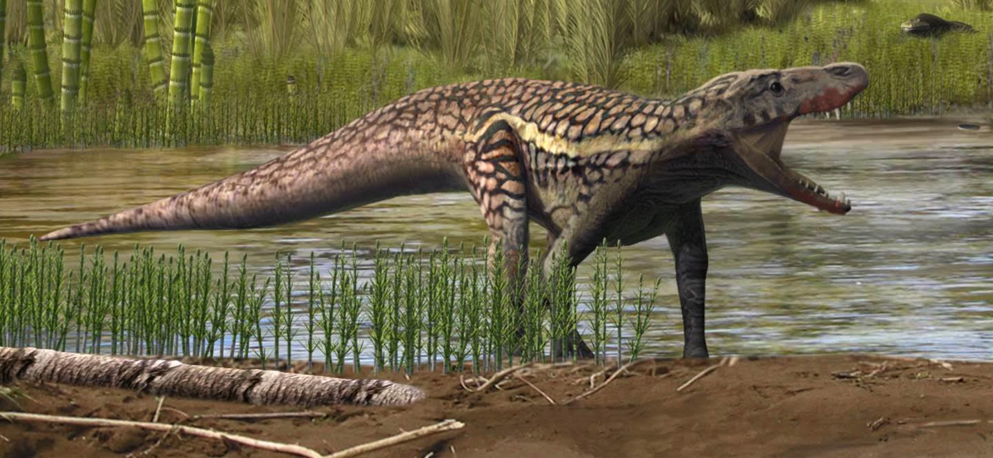 Descubren huellas de una especie desconocida de reptil que vivió hace 247 millones de años