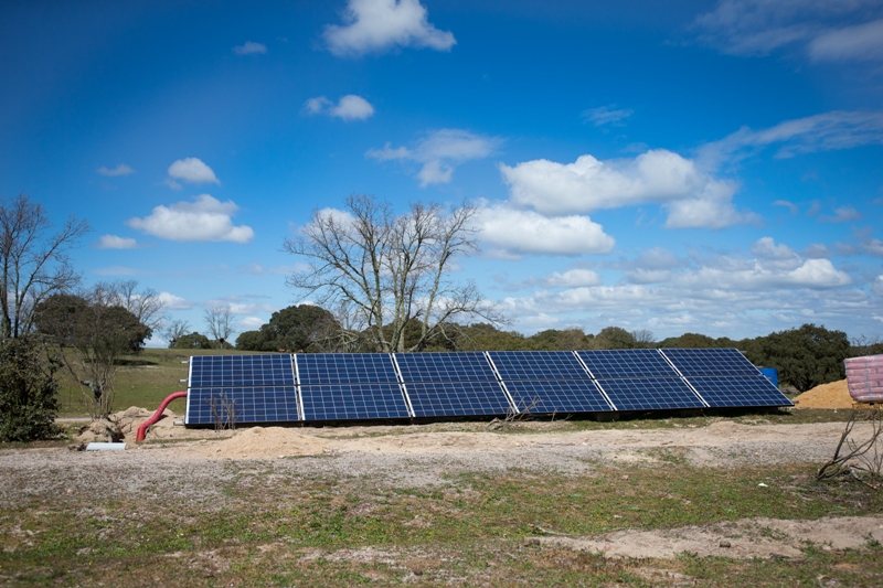 Proyecto de cero emisiones en la Reserva Biológica de Campanarios de Azaba