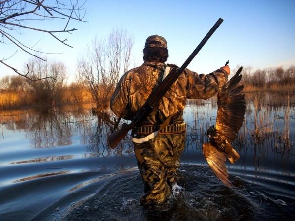 SEO/BirdLife prepara su posición sobre la caza