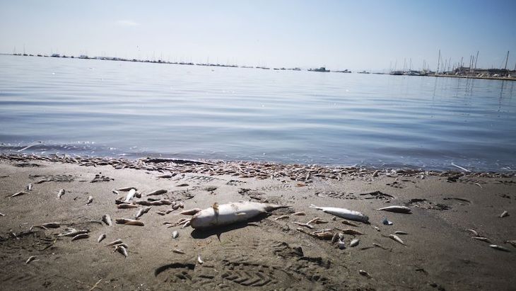 PP reclama a Ribera por el Mar Menor y a la luz