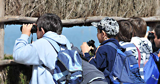 Andalucía. Más de 30.000 escolares han participado este curso en el programa de educación ambiental La naturaleza y tú