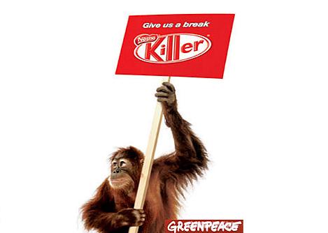 Greenpeace denuncia la relación de Nestlé con la deforestación en Indonesia