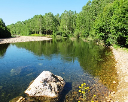 Reconocimiento de la UE al proyecto de mejora del estado ecológico del río Órbigo (León)