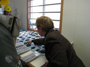 U.S.-China collaboration kicks off clean technology research