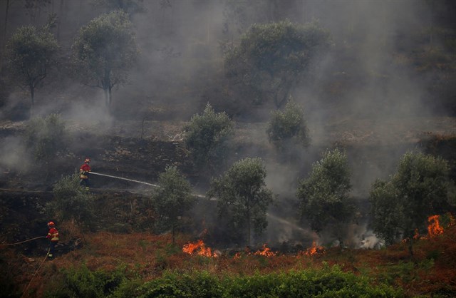 CyL moviliza a más de 40 efectivos en la extinción de dos incendios en Portugal
