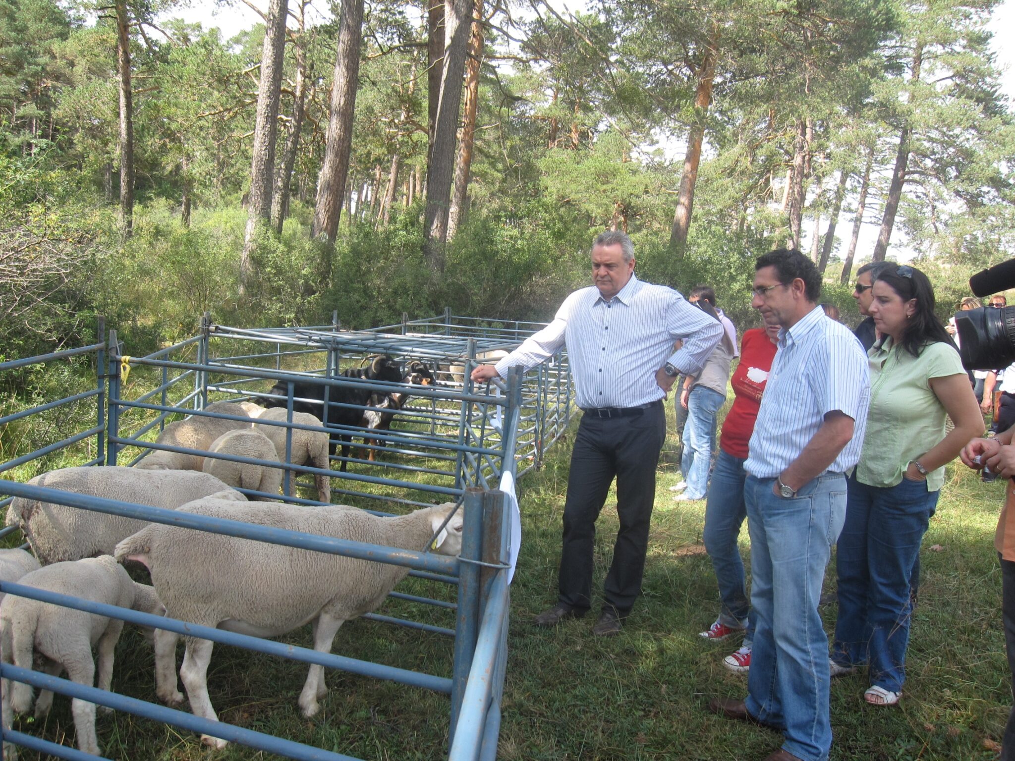 Boné: “Mantener la actividad trashumantes es fundamental vertebrar el territorio y conservar el Medio Ambiente”