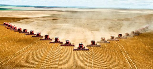 La agricultura industrial gran responsable del calentamiento global