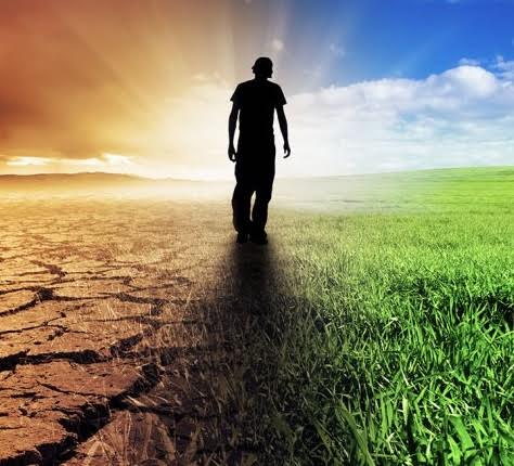 Estás cansado de ver que no se hace nada respecto al cambio climático