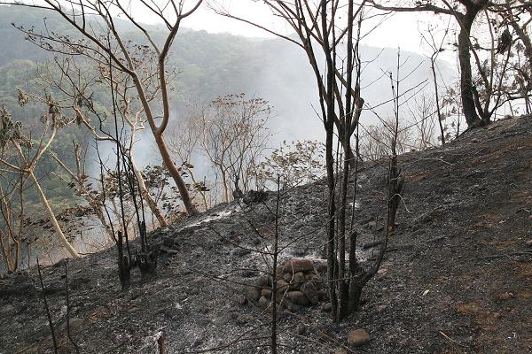 Cristina Narbona tacha de ‘enorme equivocación’ las recalificaciones por interés general de suelos quemados