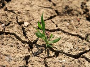 E.I.B. lends $ 665 million to Chinese clean energy projects