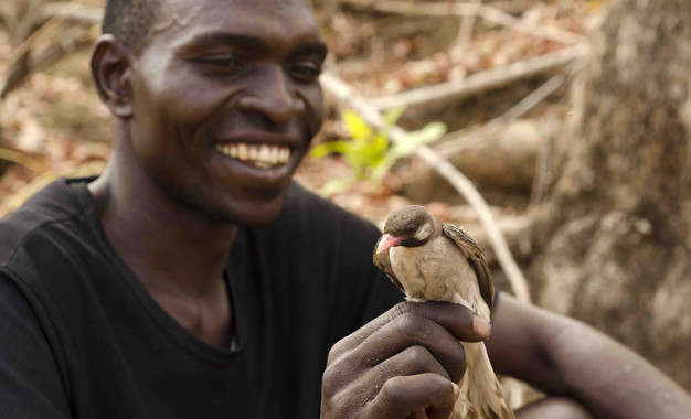 Una tribu africana se comunica con las aves