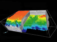 Así era el margen del Ebro hace seis millones de años