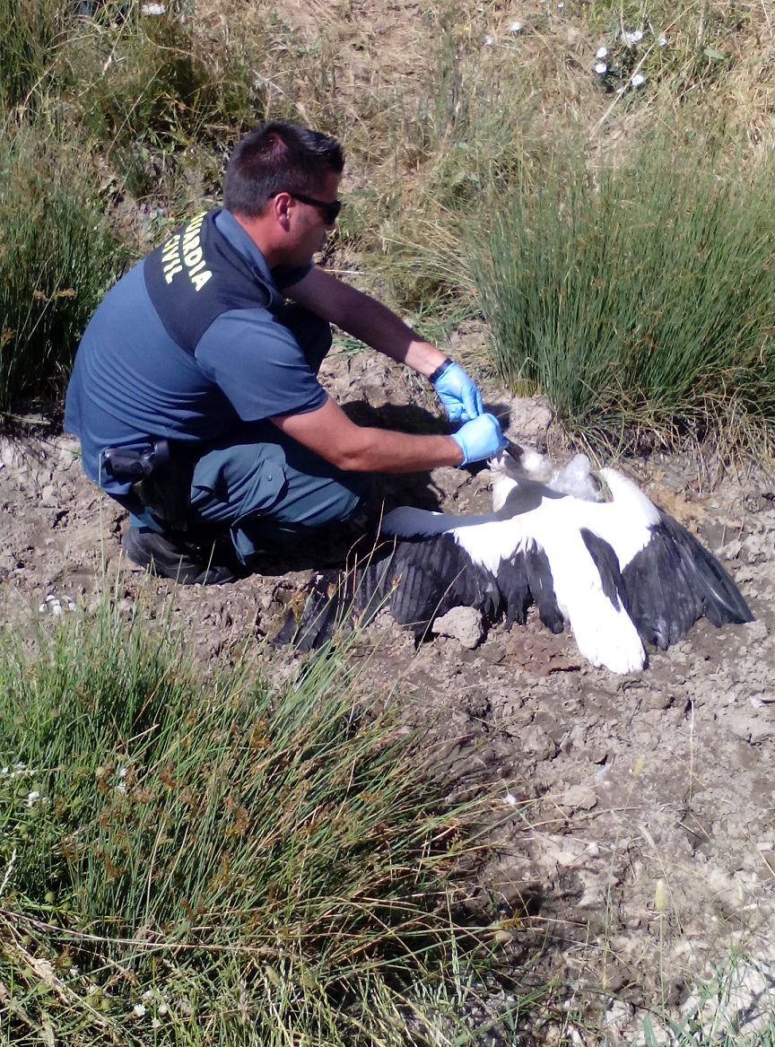 Nueva sangría en el vertedero de Ávila-Norte