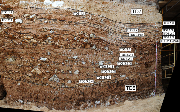 Descritos todos los procesos de formación del nivel TD6 del yacimiento de Gran Dolina en Atapuerca
