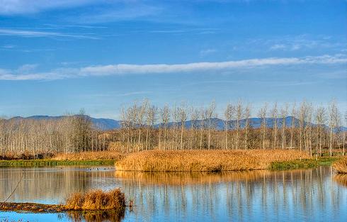 Dos visitas a las marismas de Urdaibai y Santoña centran los actos programados por el Centro de Biodiversidad de Euskadi con motivo de la celebración del Día Mundial de los Humedales