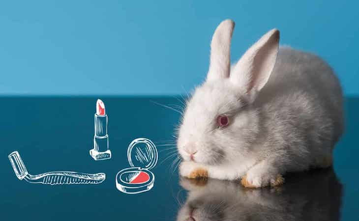 México es el primer país de América del Norte en prohibir los ensayos con animales para cosméticos