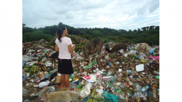 Granada generará energía verde